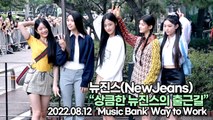 [TOP영상] 뉴진스(NewJeans), 상큼한 뉴진스의 출근길(220812 뮤직뱅크출근길)