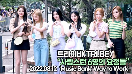 [TOP영상] 트라이비(TRI.BE), 사랑스런 6명의 요정들(220812 뮤직뱅크출근길)