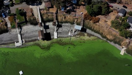 Climate change, development fueling toxic algae