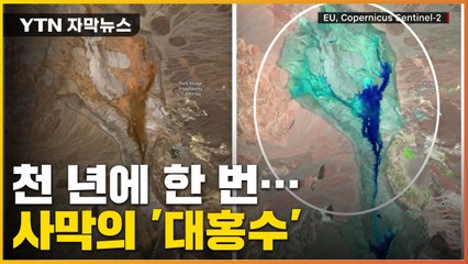 [자막뉴스] '천 년에 한 번' 역대급 폭우에 사막에 홍수까지... / YTN