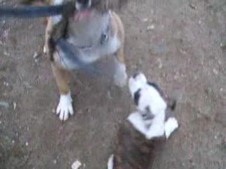 Photo 002