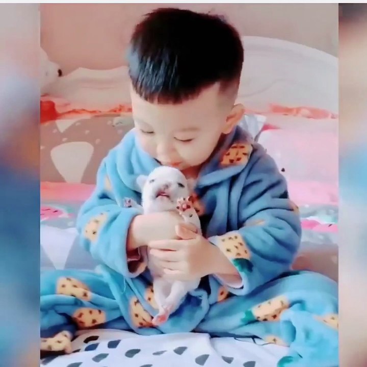 baby funny video, cat funny video, dog funny video, animals funny video