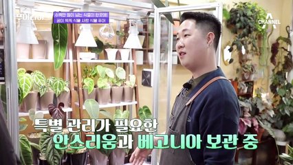 [선공개] 나무 이파리 한 장에 400만 원? 식물에 올인한 식물 푸어가 떴다!