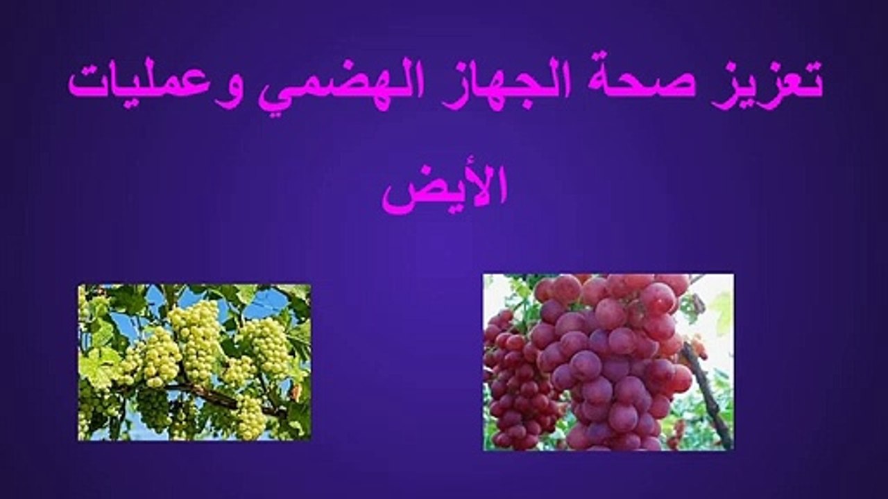 فوائد العنب