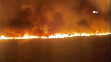 Fransa’nın güneybatısında orman yangını: 6 bin hektar alan kül oldu