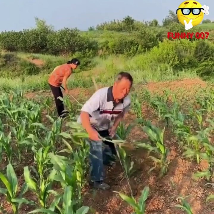 FUNNY VIDEO COMPILATION (FUNNY 007) PART -3