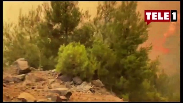 Yangınlarda 13'üncü gün: Milas ve Köyceğiz dışında yangınlar kontrol altında