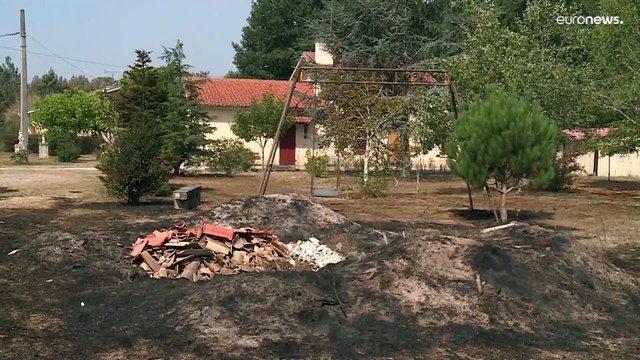 Засуха и рекордная жара затронули 60% ЕС и Великобритании