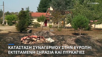 Συναγερμός στην Ευρώπη για την εκτεταμένη ξηρασία - Δασικές πυρκαγιές σε Γαλλία και Ιβηρική