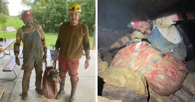 Ces deux spéléologues retrouvent par hasard une chienne coincée dans une grotte depuis 2 mois