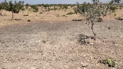 Download Video: Gaziantep haberi! GAZİANTEP - Terör örgütü YPG/PKK Karkamış ilçesine havan mermisi attı