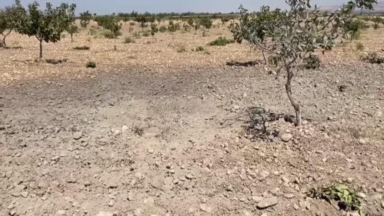 Gaziantep haberi! GAZİANTEP - Terör örgütü YPG/PKK Karkamış ilçesine havan mermisi attı