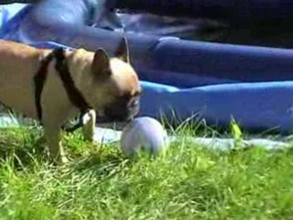 Yuna... et le petit ballon