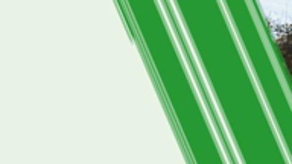 Daniel Sturridge - player profile