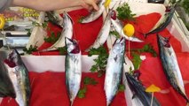 Zonguldak haber... ZONGULDAK - Sezonun ilk palamutlarının bolluğu balıkçıları umutlandırdı