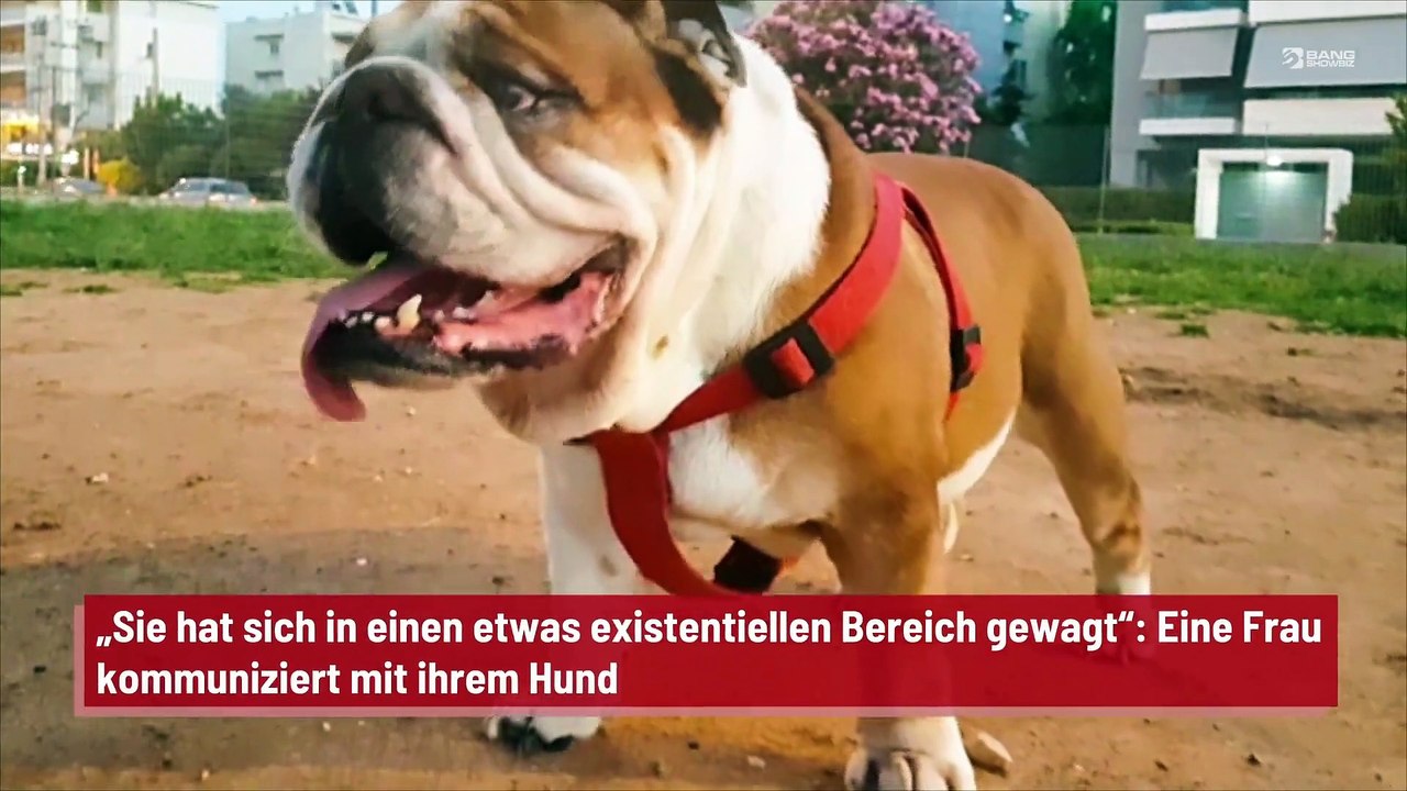 „Sie hat sich in einen etwas existentiellen Bereich gewagt“: Eine Frau kommuniziert mit ihrem Hund