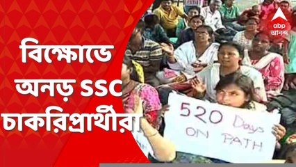 SSC Agitation: মেয়ো রোডে গাঁধী মূর্তির নিচে অবস্থান বিক্ষোভে অনড় SSC চাকরিপ্রার্থীরা