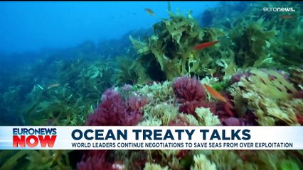 Latest news bulletin | August 16th – Midday