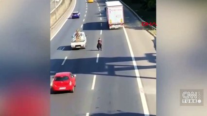 TEM'in ortasına çıktı kazaya neden oldu