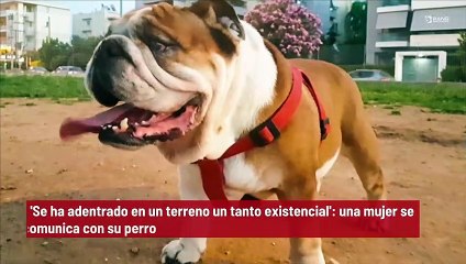 'Se ha adentrado en un terreno un tanto existencial': una mujer habla con su perro