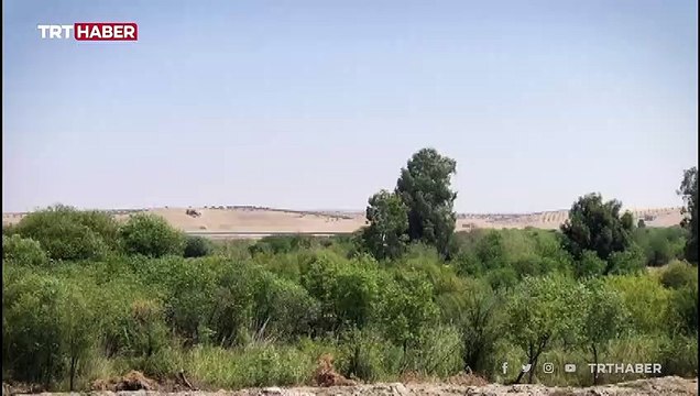 PKK/YPG'den Karkamış'a havan saldırısı