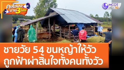 ชายวัย 54 ขนหญ้าให้วัว ถูก 'ฟ้าผ่า' สิ้นใจทั้งคนทั้งวัว (16 ส.ค. 65) คุยโขมงบ่าย 3 โมง