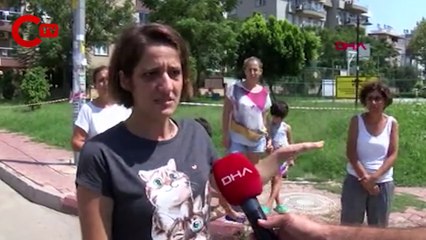 1 haftada 8 köpek öldü, 2 parkta zehirli tarımsal madde tespit edildi