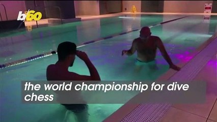 Dive Chess Championships Crown New King