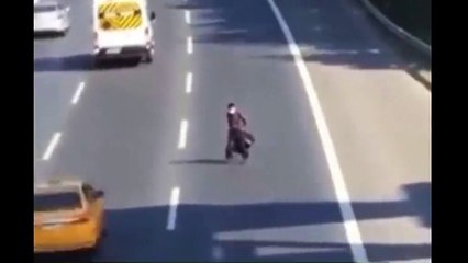 TEM Otoyolu'na atladı kazaya sebep oldu!