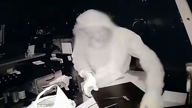 Ladrão foge de furto com TV dentro das calças e sacolas cheias de doce, em Umuarama