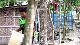 Most amazing fishing in rainy day  Catching huge fish from flood water