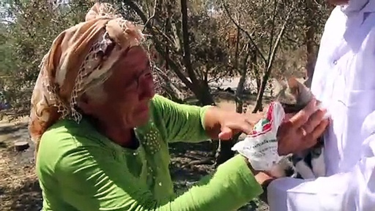 Orman yangınından son anda kurtulan yaşlı çift kedilerine kavuştu