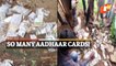 Aadhaar Cards Found Buried In Gajapati Village | Odisha