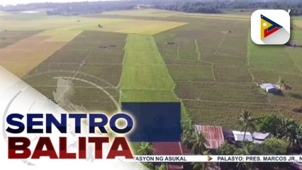 Pres. Marcos Jr., iginiit ang pagtutulungan ng nat’l at local gov’t para sa pagtitiyak ng food supply