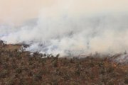 Son dakika haberi! Hawaii'de çalılık alanda yangın: 9 bin 800 hektar alan kül oldu
