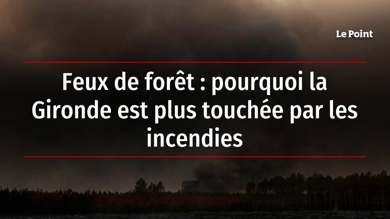 Feux de forêt : pourquoi la Gironde est plus touchée par les incendies