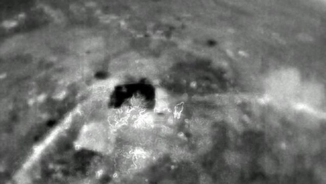 Yalova haberleri | SİİRT'TE 'YEŞİL ALTIN'A TERMAL DRONLA KORUMA