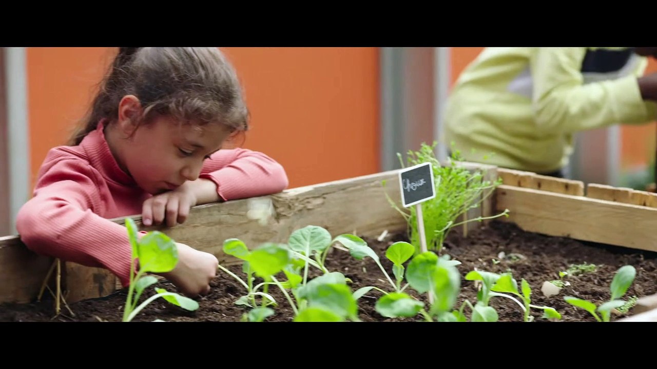 LA COUR DES MIRACLES Film