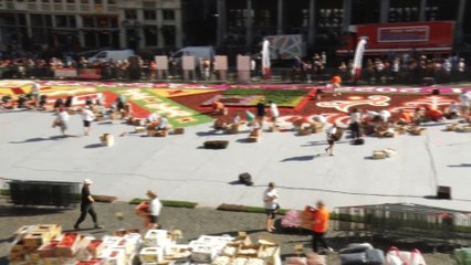 Le 22e tapis de fleurs de la Grand Place prend forme