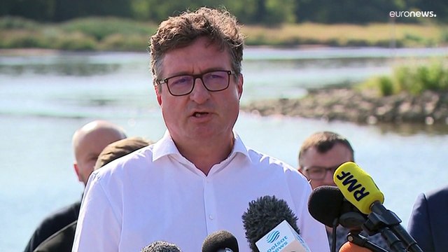 Польша: в реке Одра погибли тонны рыбы из-за заражения воды химикатами