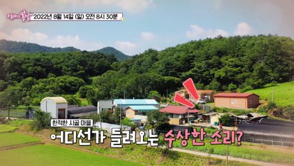 꽃사슴보다 여보 당신_엄마의 봄날 361회 예고 TV CHOSUN 220814 방송
