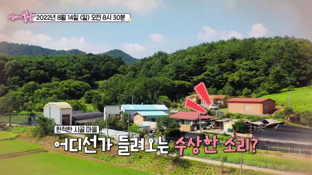 꽃사슴보다 여보 당신_엄마의 봄날 361회 예고 TV CHOSUN 220814 방송