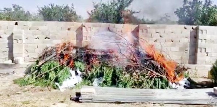 Niğde haberi... GAZİANTEP'TE, ÇİFTLİK EVİNE UYUŞTURUCU OPERASYONUNDA 2 TUTUKLAMA