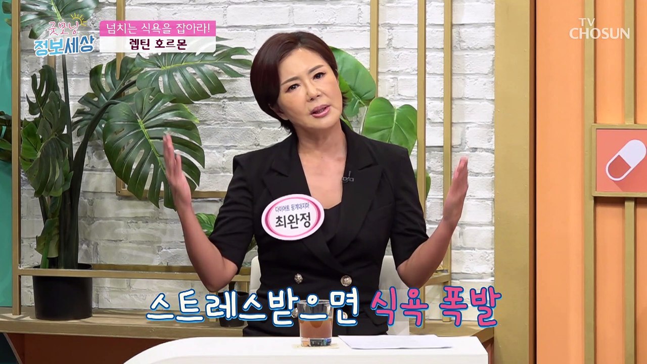 식욕과 스트레스 둘 다 잡고 건강 찾는 ✦시서스✦ TV CHOSUN 220812 방송
