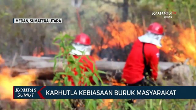 Ini Kata Gubernur Sumatera Utara Terkait Kebakaran Lahan di Kawasan Danau Toba