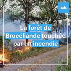 Incendie en forêt de Brocéliande