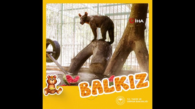 {5AB6E374-5349-442A-8262-9AE271071CD0}