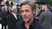 List Of Actors Brad Pitt Wont Work With  Again