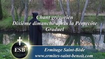 Graduel Custodi me du 10e dimanche après la Pentecôte - Ermitage Saint-Bède film Jean-Claude Guerguy by Ciné Art Loisir