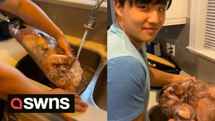 Bizarre moment man brings home 18kg frozen octopus he bought from Facebook Marketplace